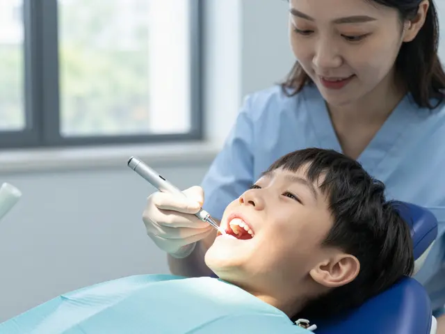 Jaké plomby hradí zdravotní pojišťovna v roce 2026?